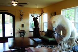 Wild Game Trophies greet visitors to Michael Gill Cellars